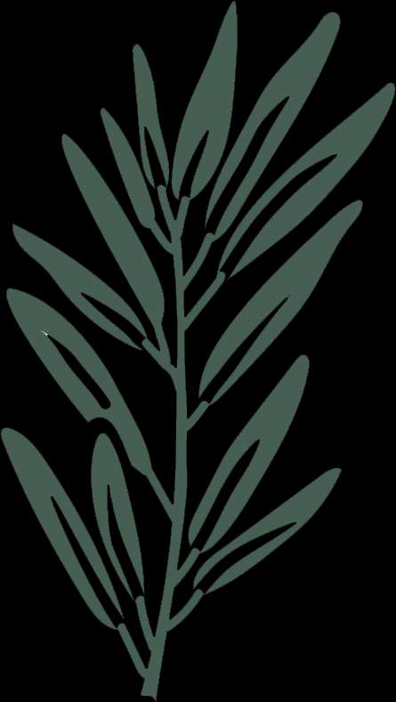 Branche verte stylisée avec feuilles allongées sur fond noir pour décoration intérieure