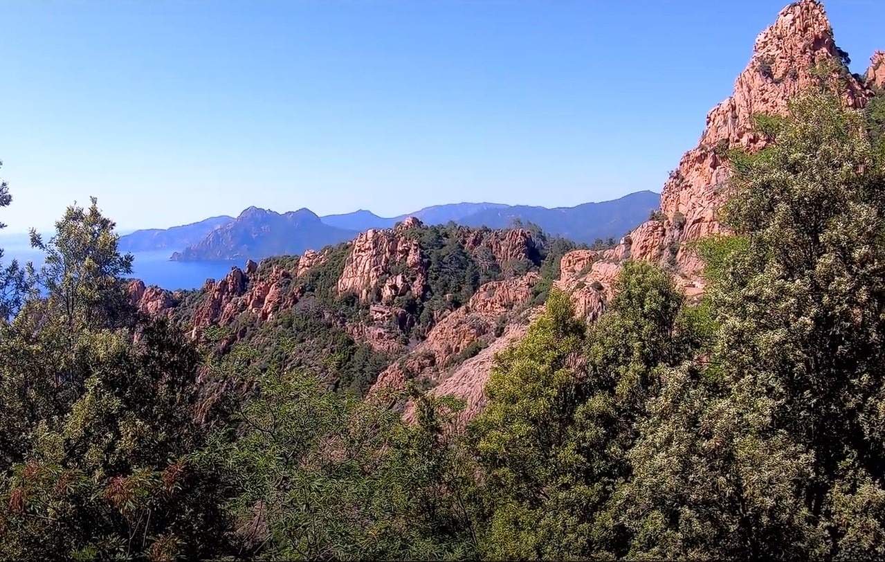 Sous la foret de Piana